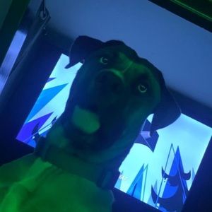 Meet your Posher, Logan